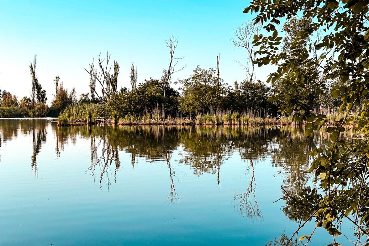 UnViaggioPerDue: Un fiume calmo con chiari riflessi di alberi e arbusti sulla superficie dell'acqua, circondato da una vegetazione lussureggiante sotto un cielo azzurro e limpido nelle idilliache Vallette di Ostellato, Provincia di Ferrara.