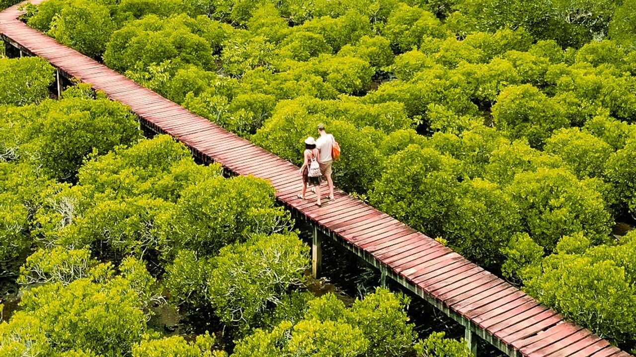 UnViaggioPerDue: Daniele e Flavia camminano lungo una passerella di legno circondata da una rigogliosa vegetazione nella foresta di mangrovie a Koh Chang, catturando la serena bellezza della Thailandia.